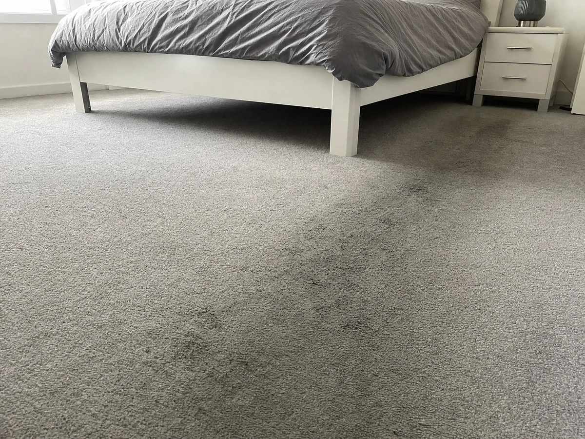 Bedroom carpet, traffic lanes before cleaning