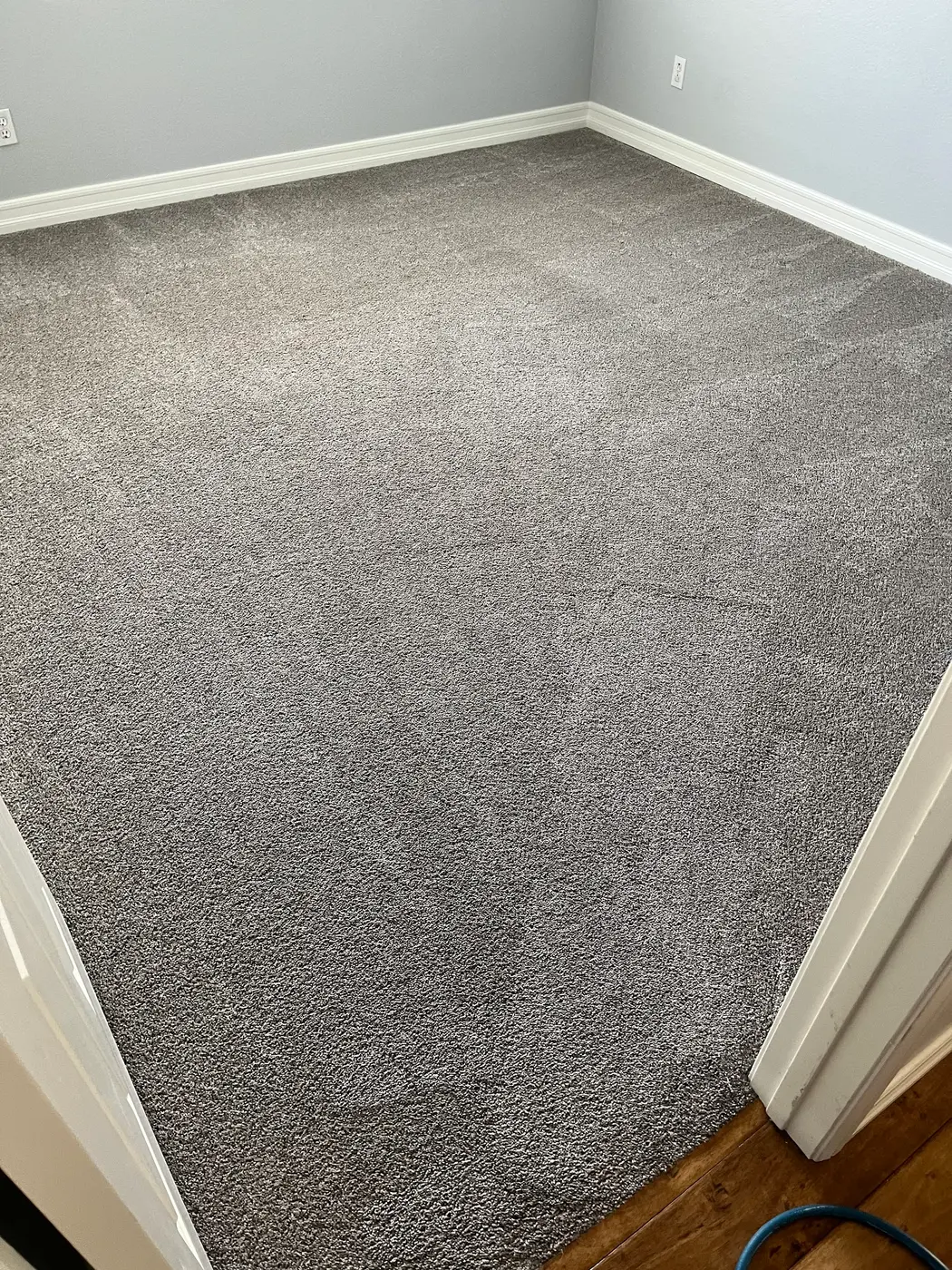 Carpet with a stain beside the cleaned carpet after cleaning