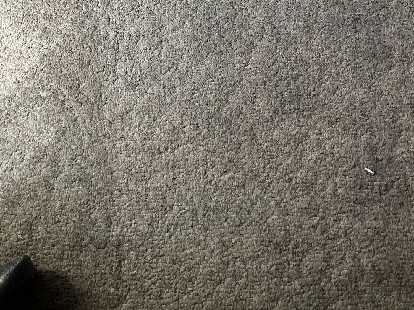 Entry carpet, soiled foreground and a cleaned pass by the door before cleaning