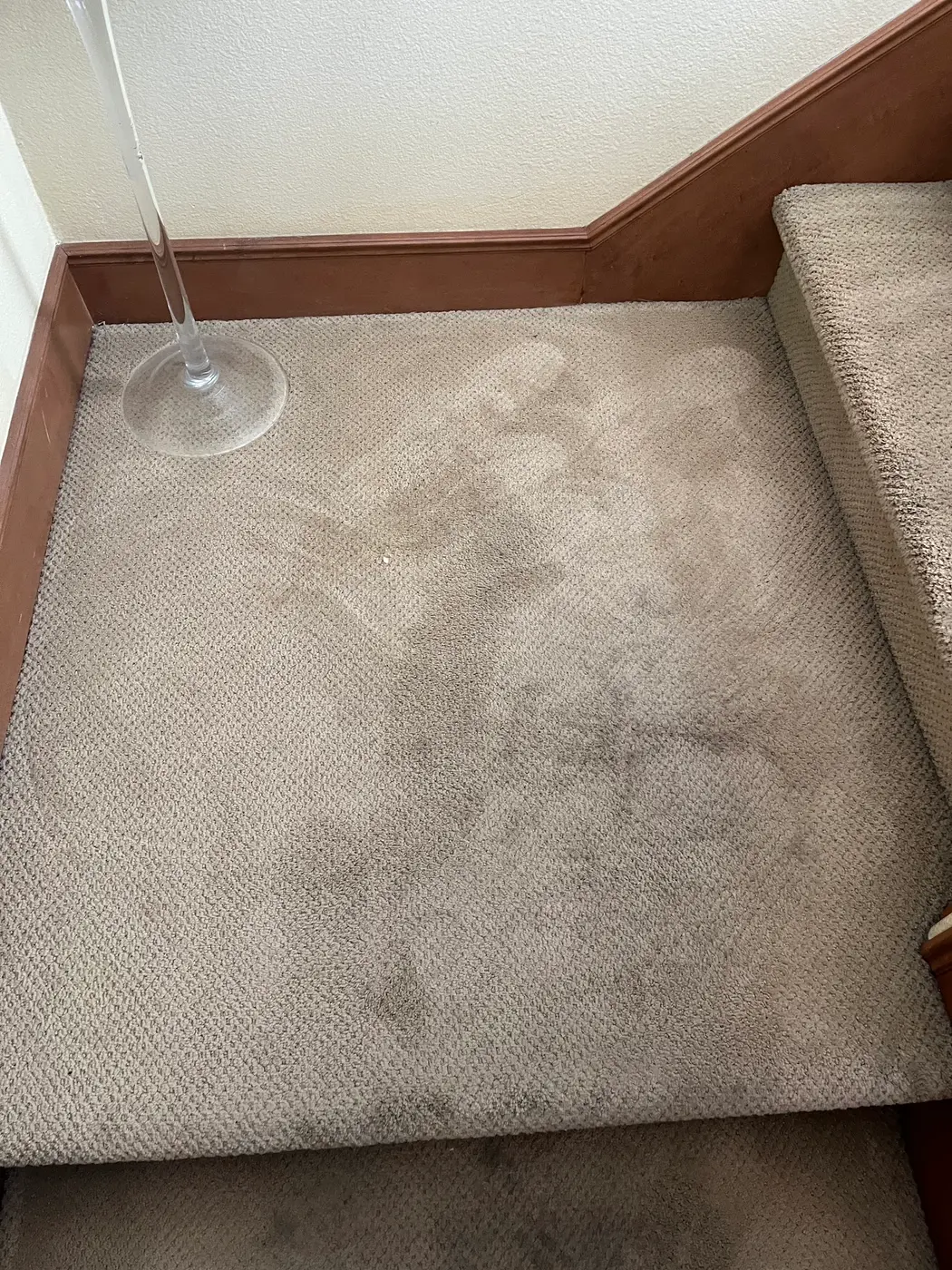 Carpet with stains beside the cleaned carpet before cleaning