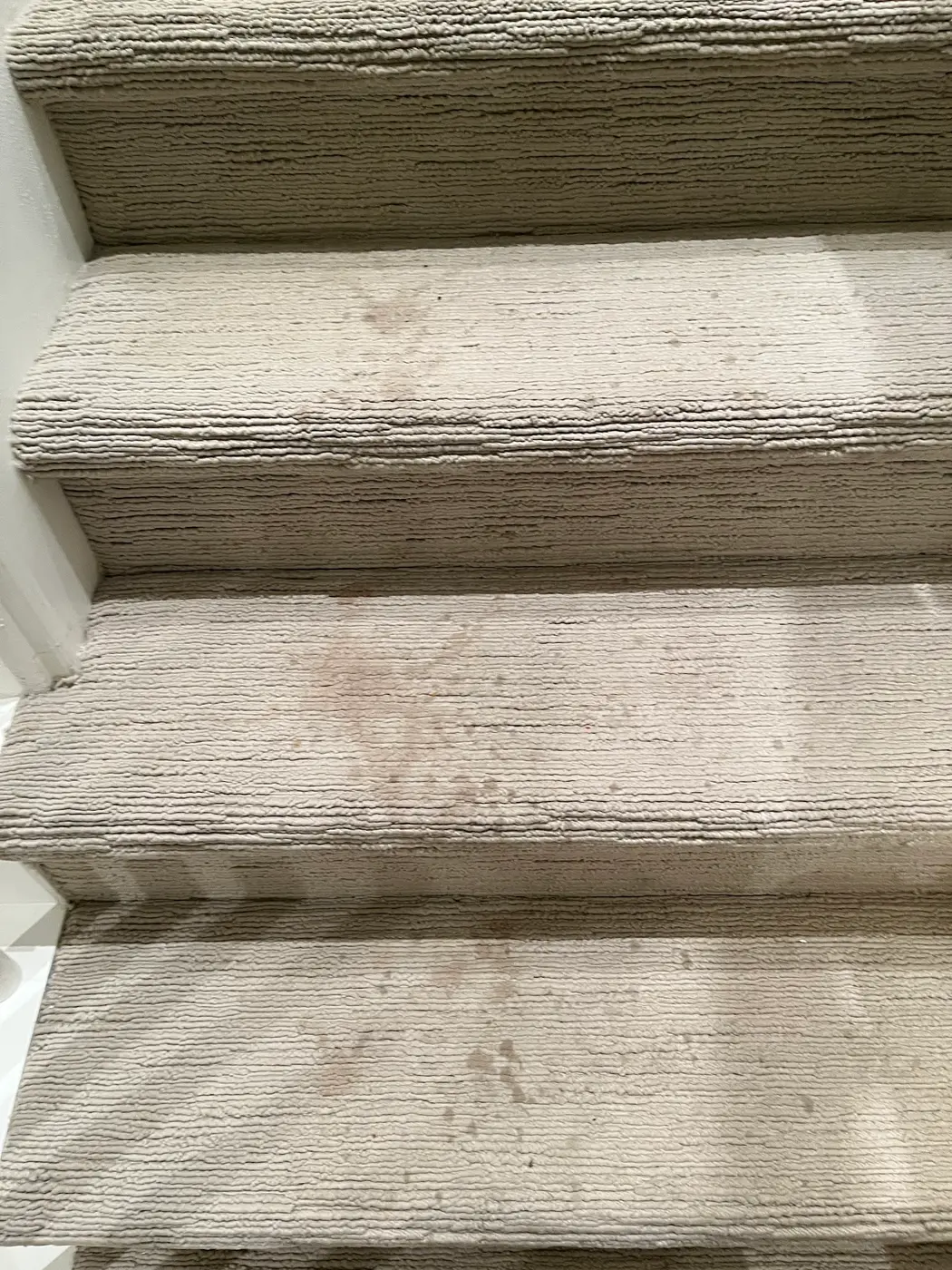 Carpeted stairs, stained treads beside the cleaned stairs before cleaning