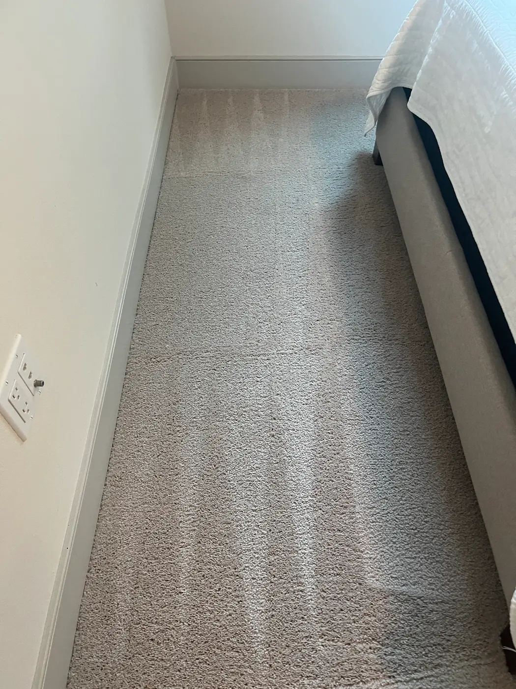 Bedroom carpet, dark stains beside the cleaned carpet after cleaning