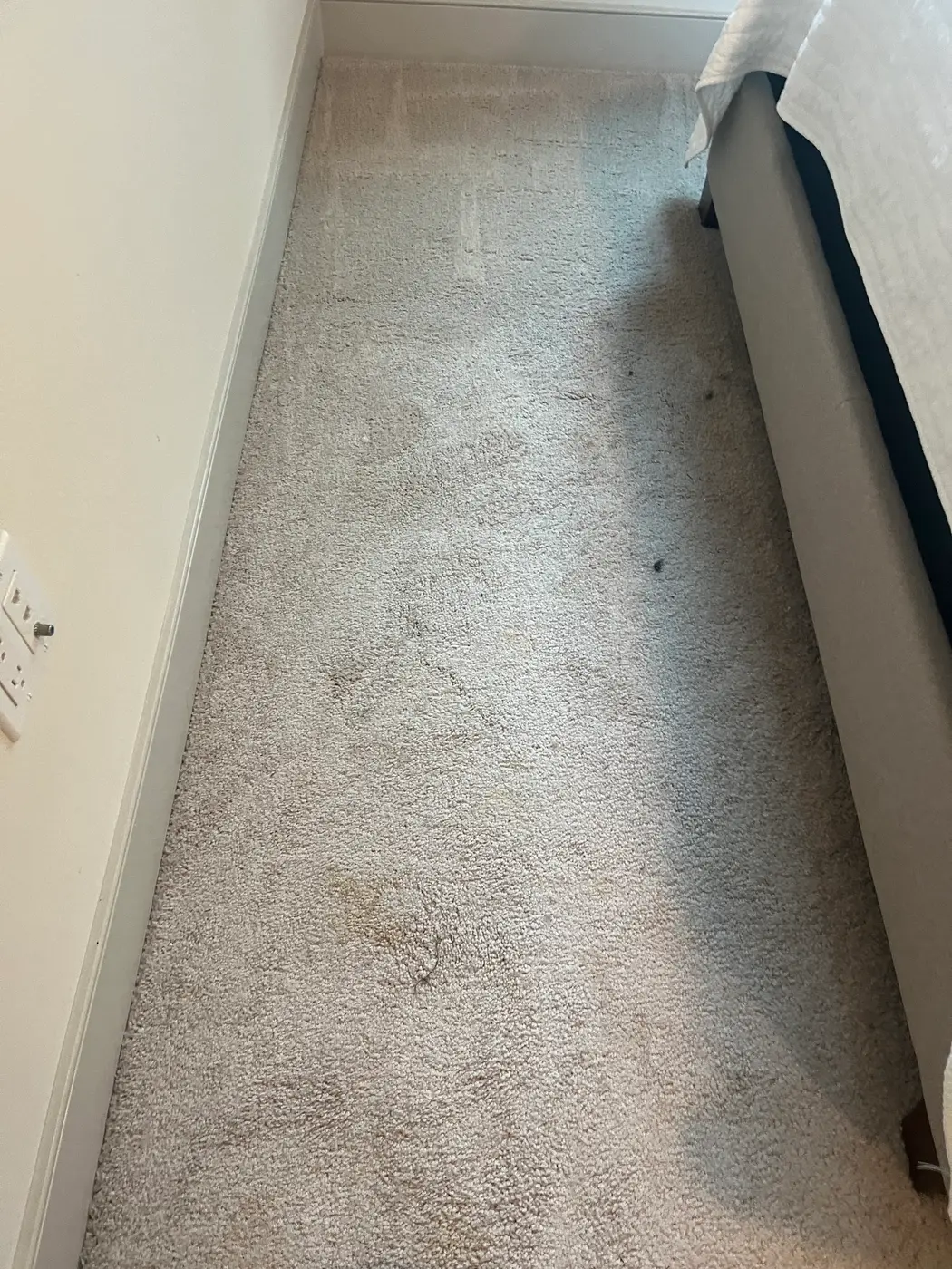 Bedroom carpet, dark stains beside the cleaned carpet before cleaning