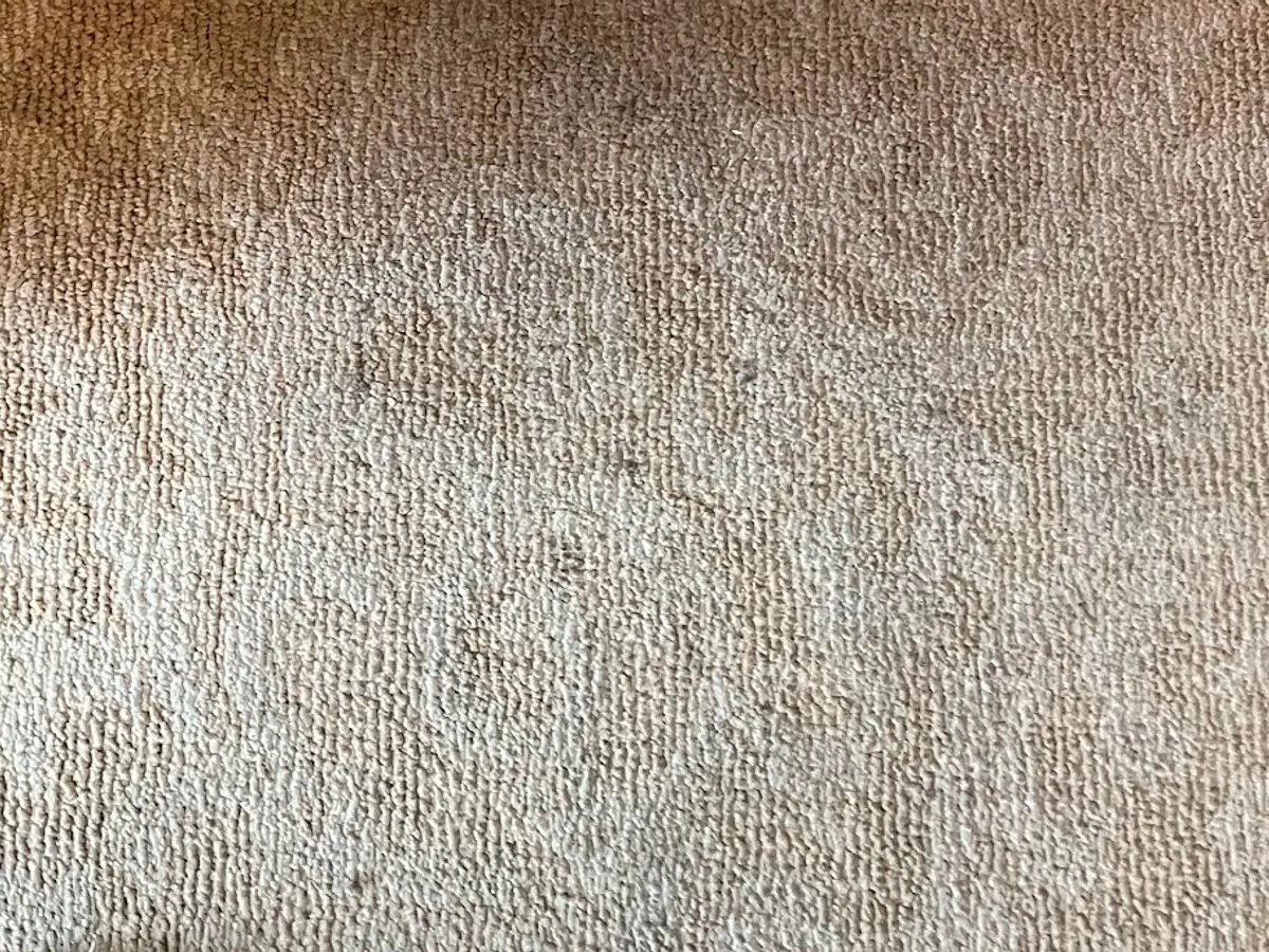 Patterned carpet at a doorway, a blackened field beside the cleaned carpet after cleaning