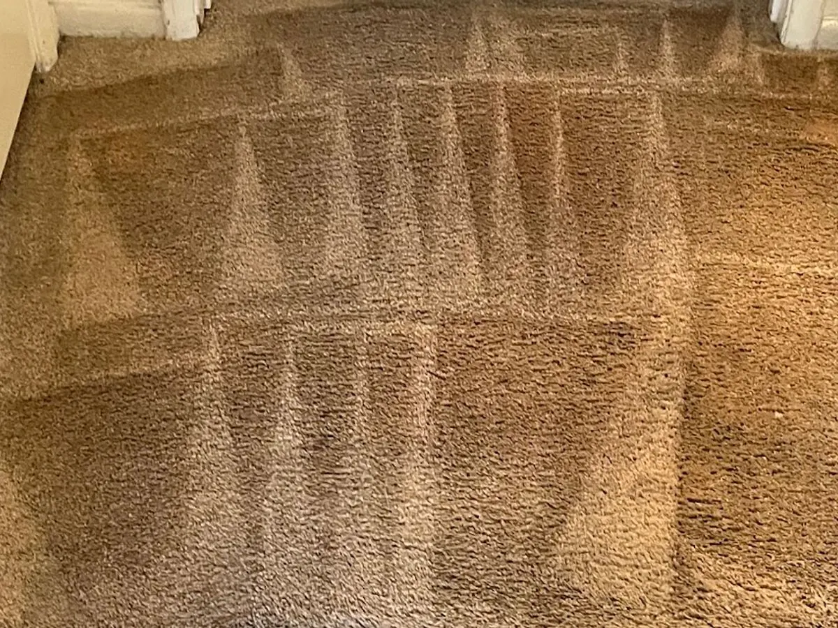 Stair landing, the soiled bottom step beside the cleaned landing after cleaning