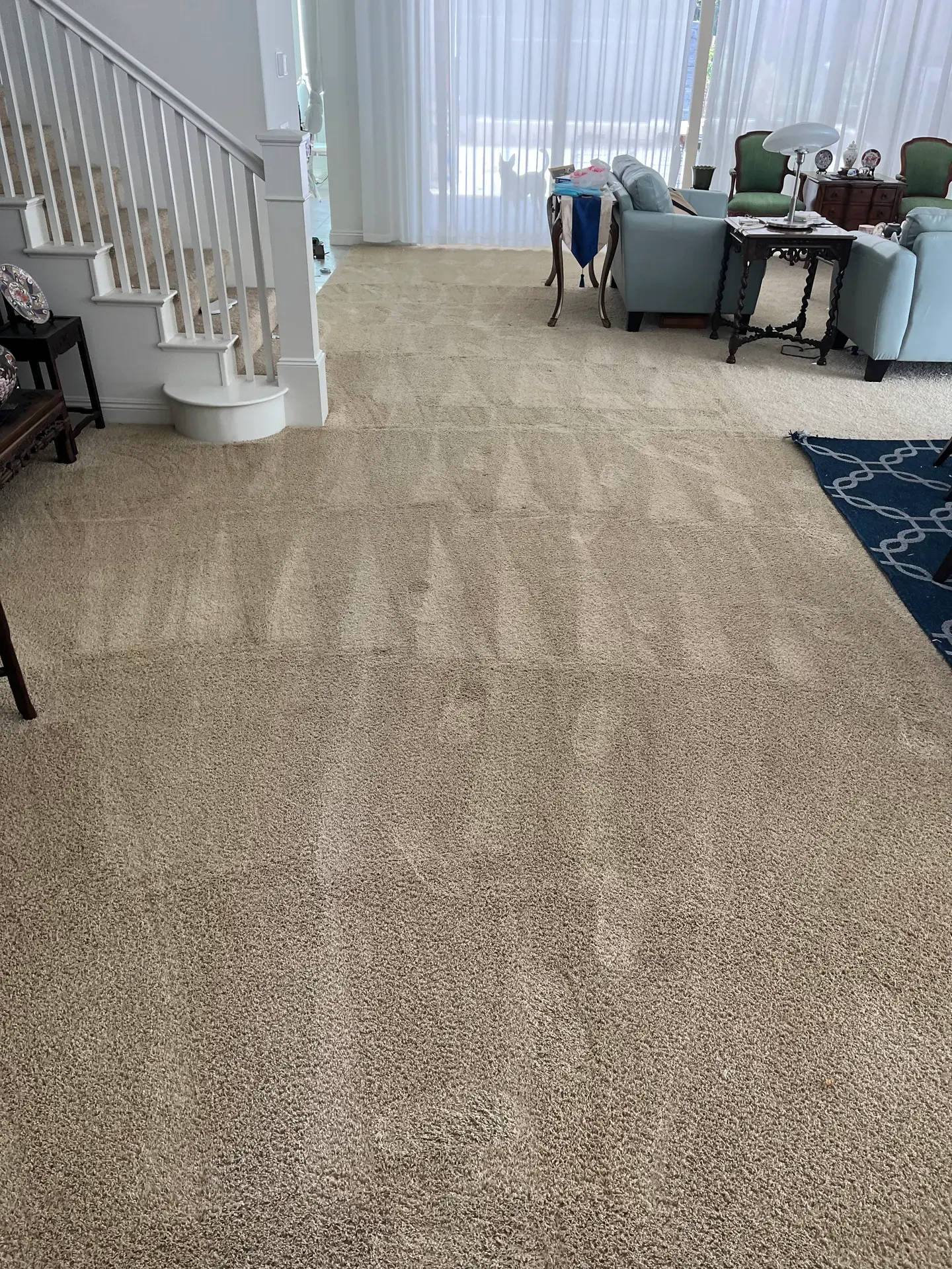 Living room carpet with cleaning lines in an Orange County home