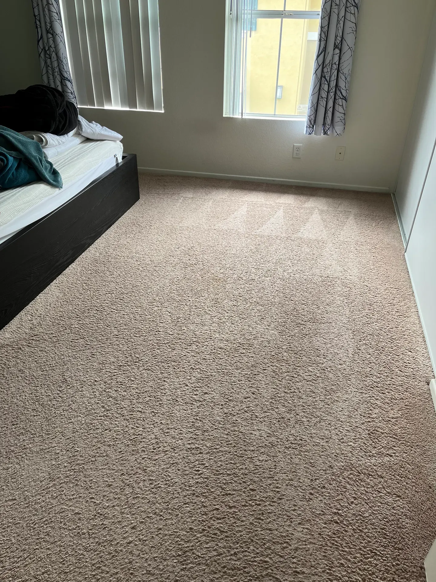 Bedroom carpet with wand marks from hot-water extraction