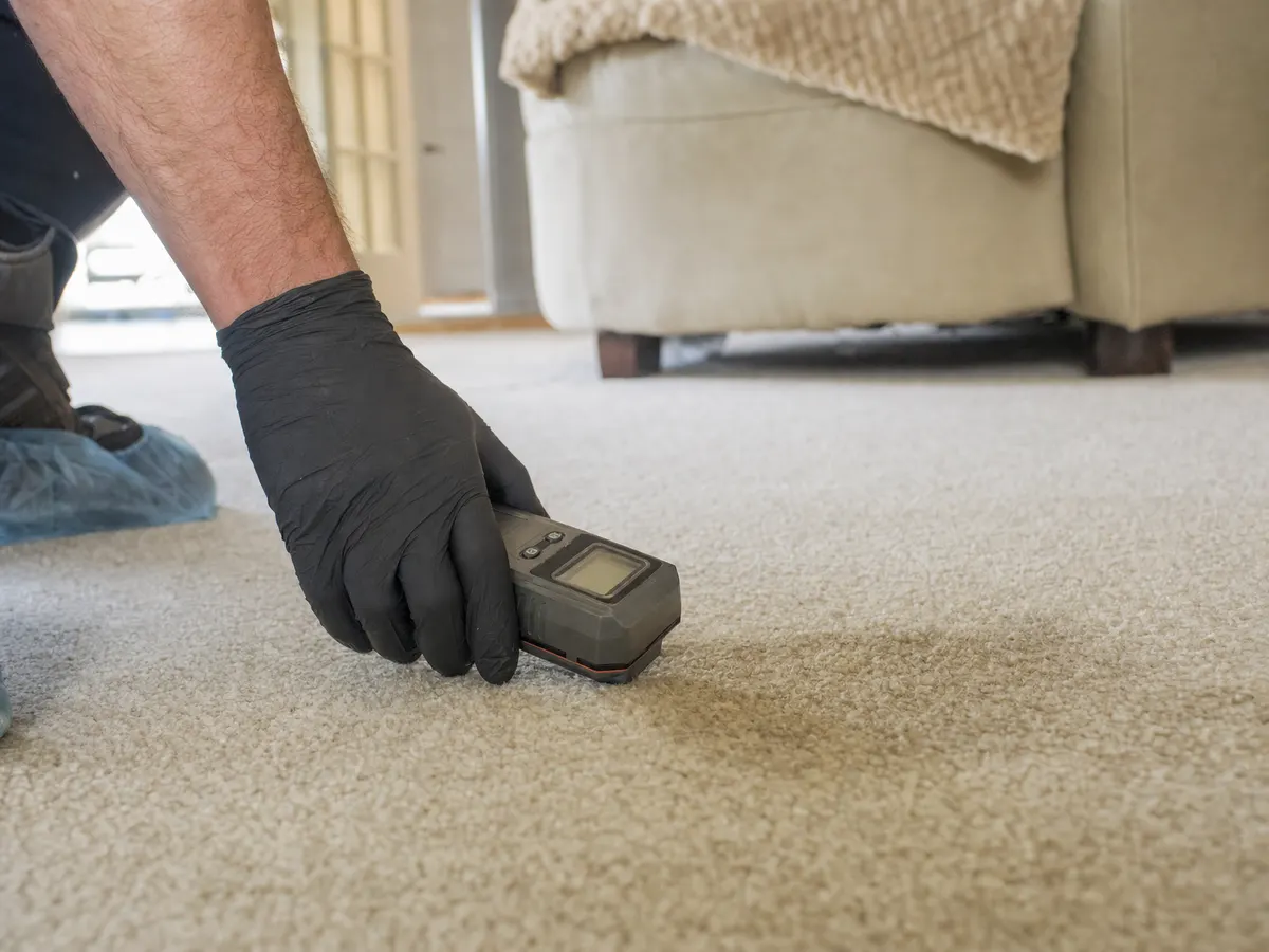 Technician checking carpet with a moisture meter before quoting