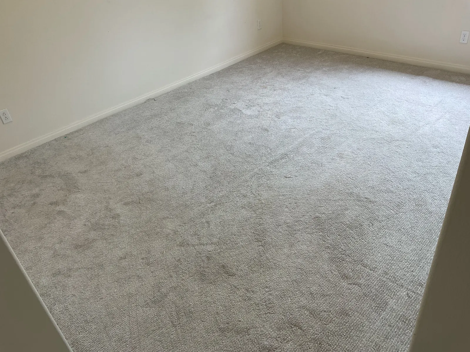 Living room carpet after cleaning
