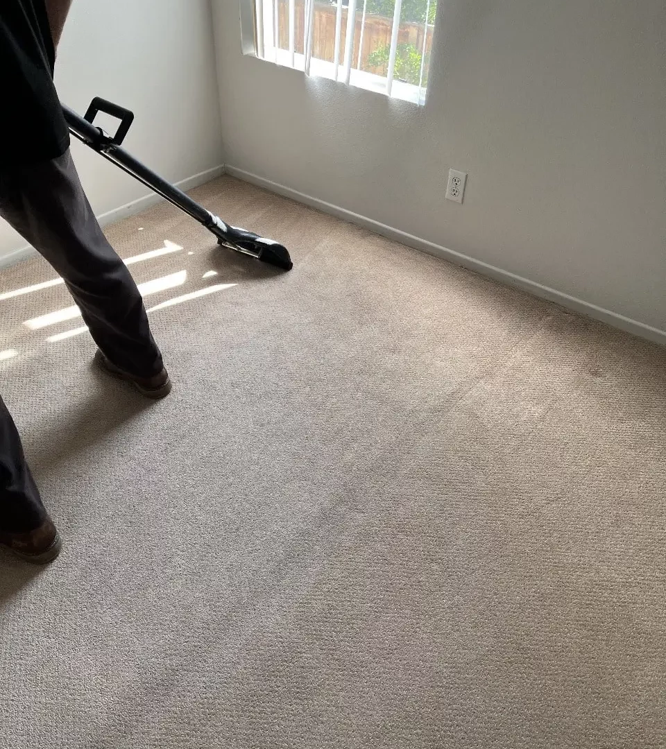 Carpet Cleaning in Irvine
