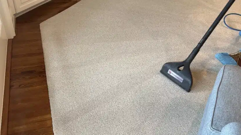 Carpet cleaning