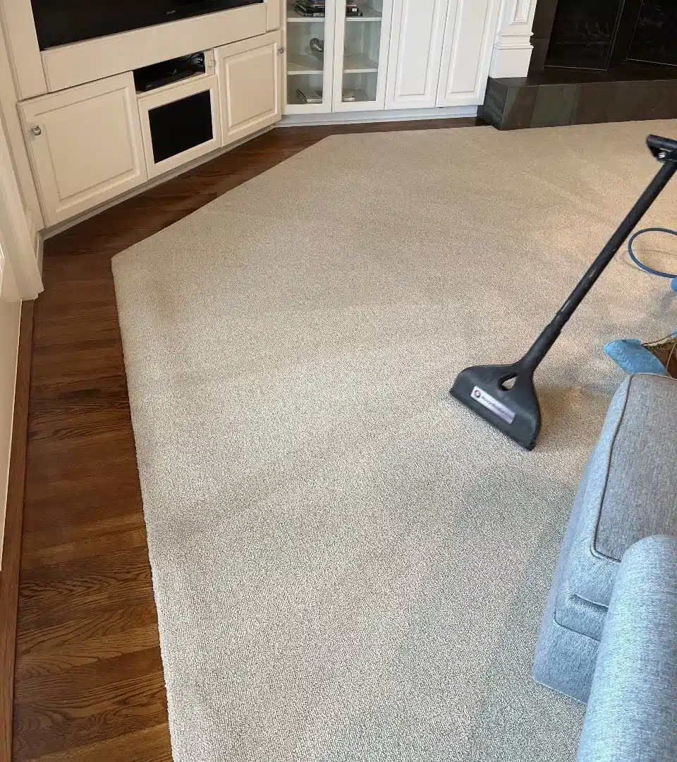Carpet cleaning