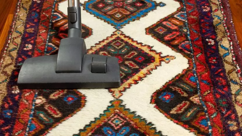 carpet and duct cleaning