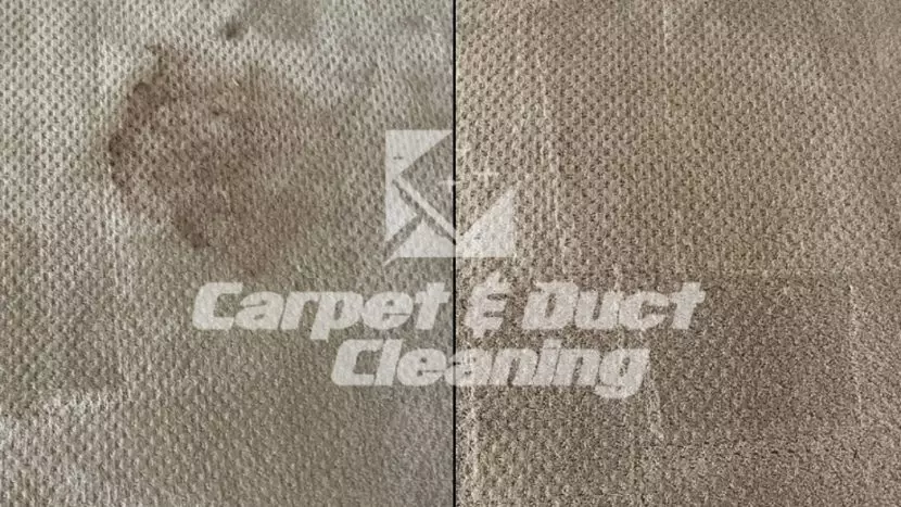 removing carpet stains