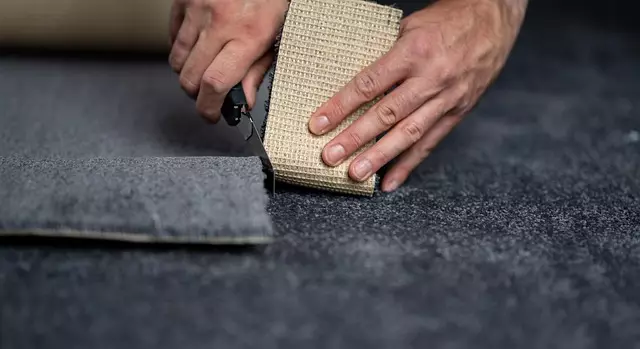 Professional carpet cleaning maintenance